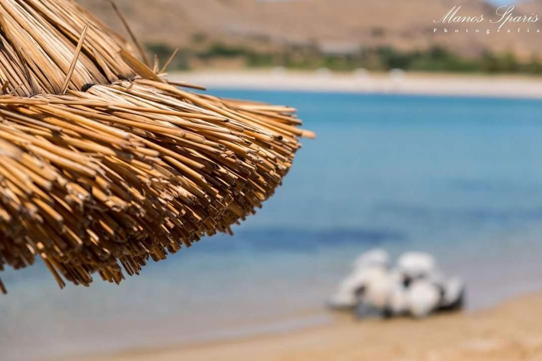Traditional Stone House Θάνος Εξωτερικό φωτογραφία